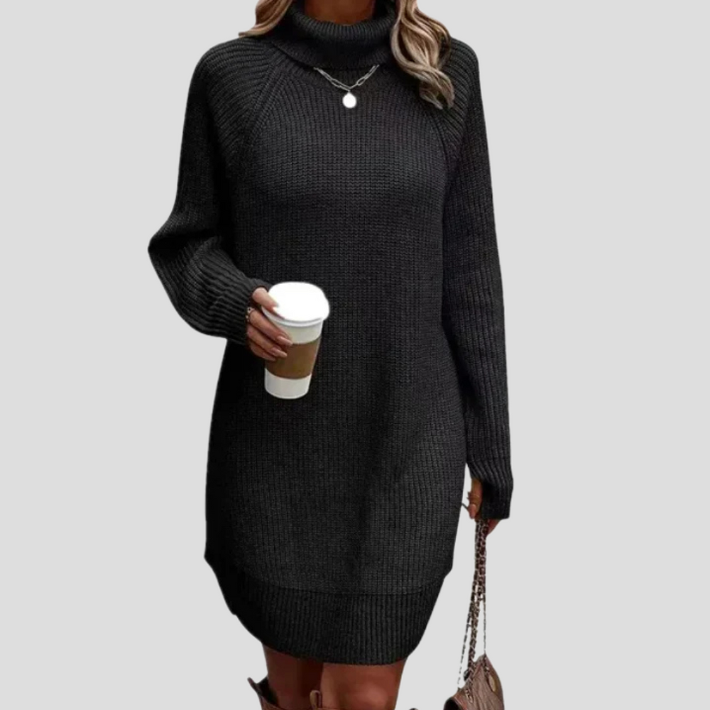 Dorothea - Women's Turtleneck Knit Dress