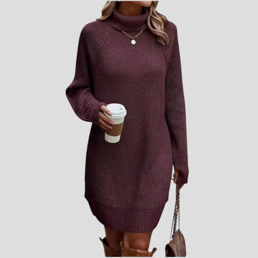 Dorothea - Women's Turtleneck Knit Dress